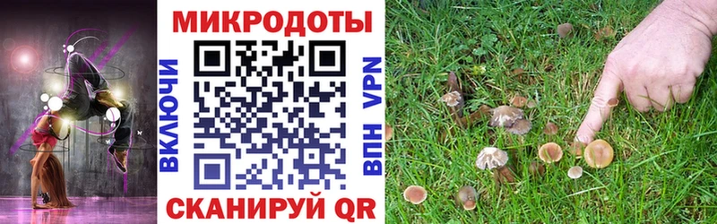 Псилоцибиновые грибы GOLDEN TEACHER  продажа наркотиков  blacksprut маркетплейс  Хадыженск 